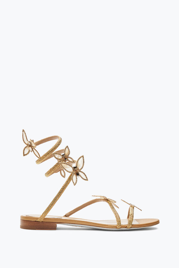 jeweled butterflower crystal guld sandal 10 rene caovilla