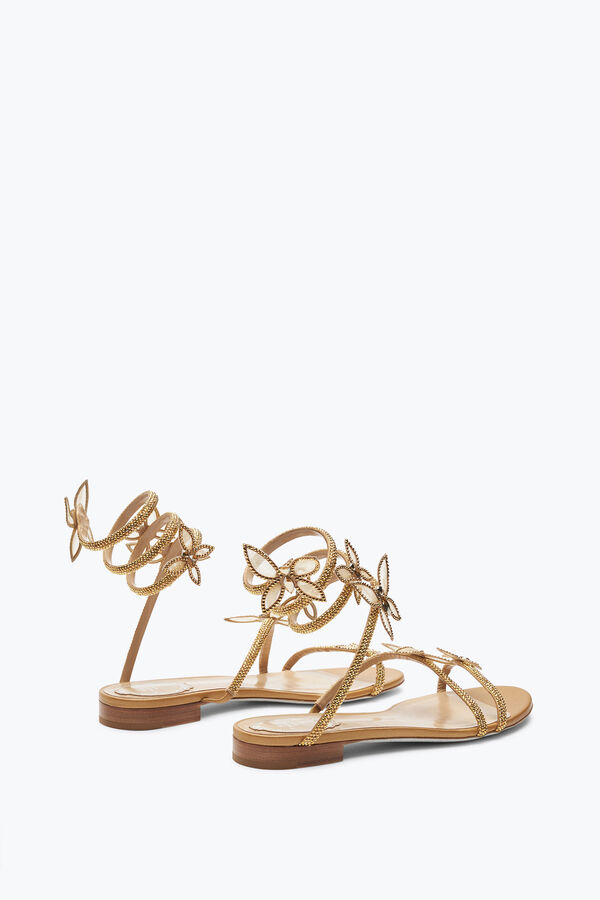 jeweled butterflower crystal guld sandal 10 rene caovilla