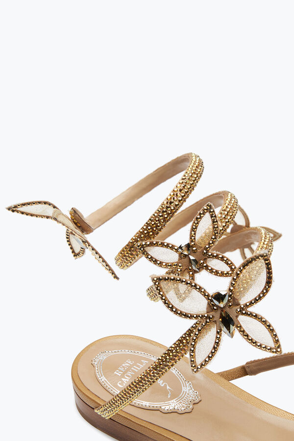 jeweled butterflower crystal guld sandal 10 rene caovilla