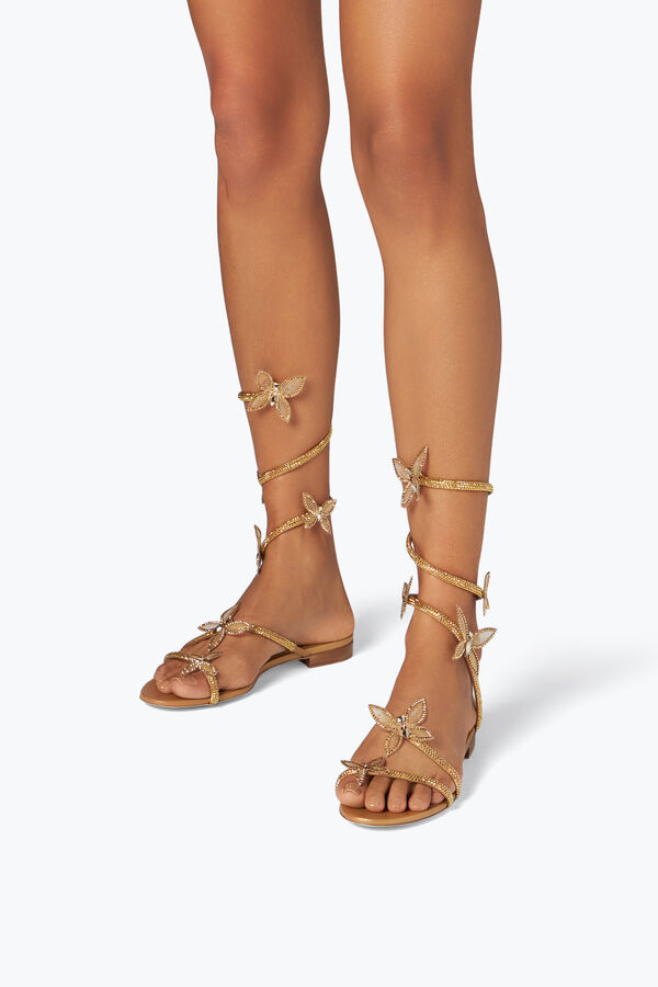 jeweled butterflower crystal guld sandal 10 rene caovilla