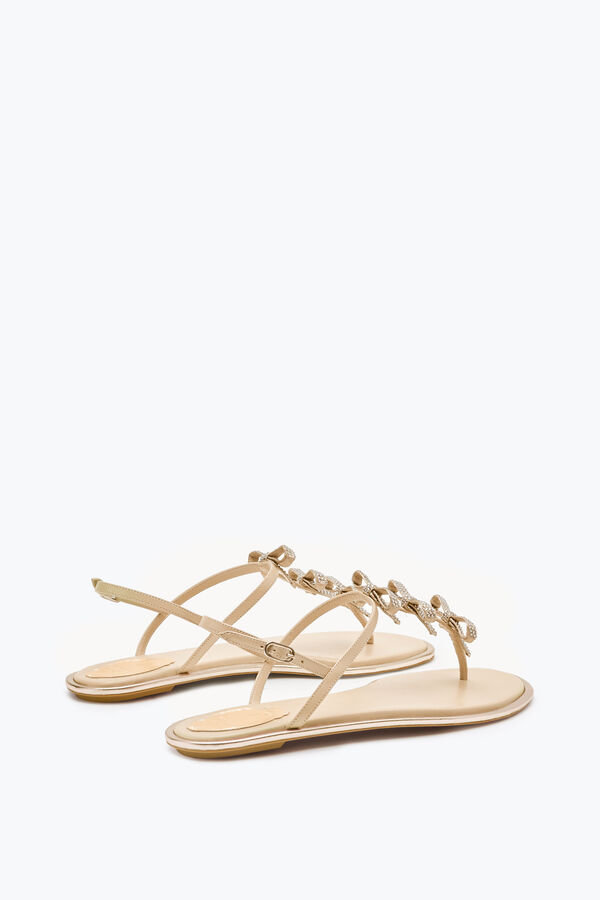 jeweled caterina naken thong sandal 10 rene caovilla