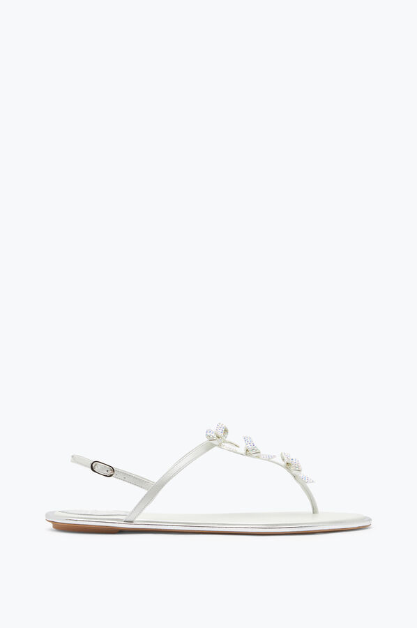 jeweled caterina vita thong sandal 10 rene caovilla