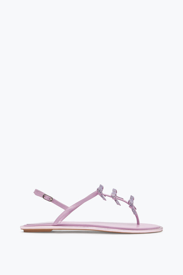 jeweled caterina lila thong sandal 10 rene caovilla
