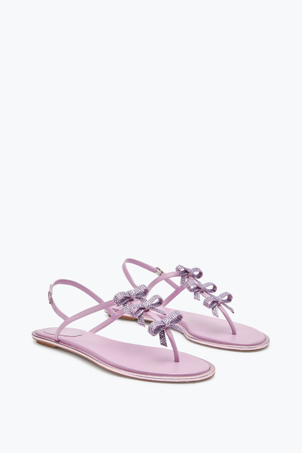 jeweled caterina lila thong sandal 10 rene caovilla