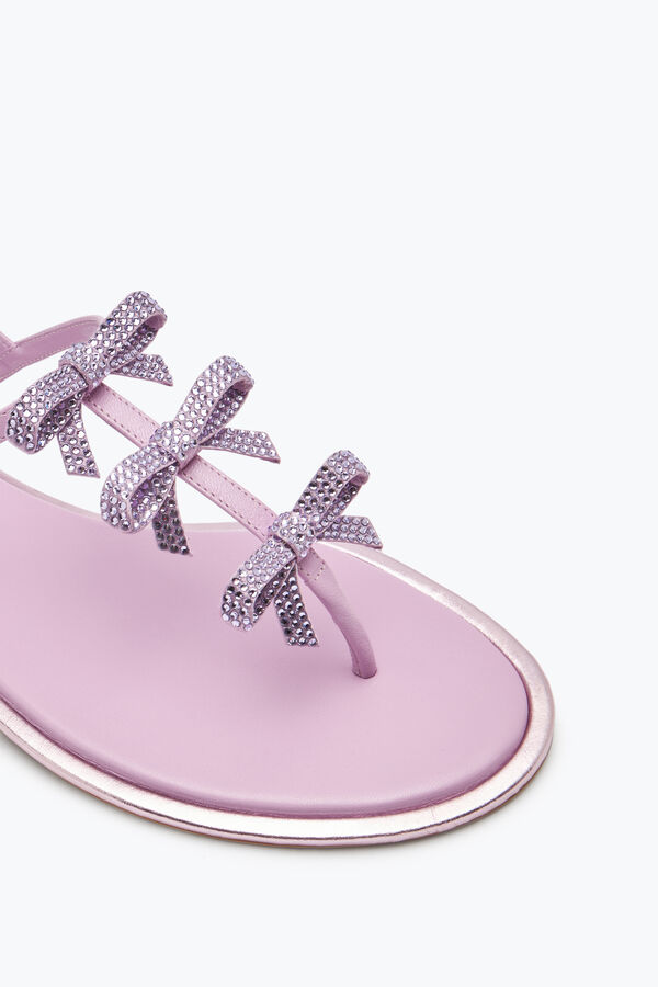jeweled caterina lila thong sandal 10 rene caovilla