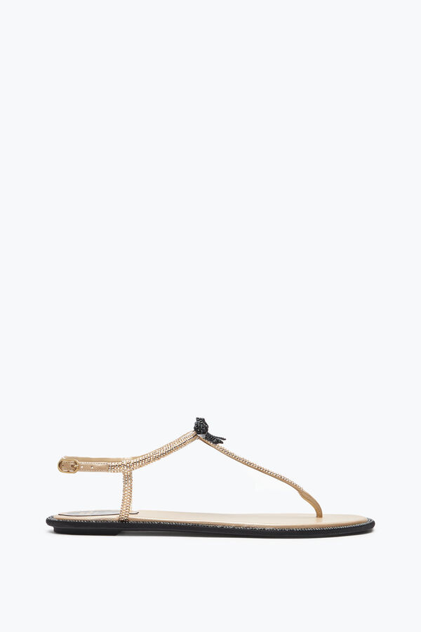 jeweled caterina honung thong sandal 10 rene caovilla