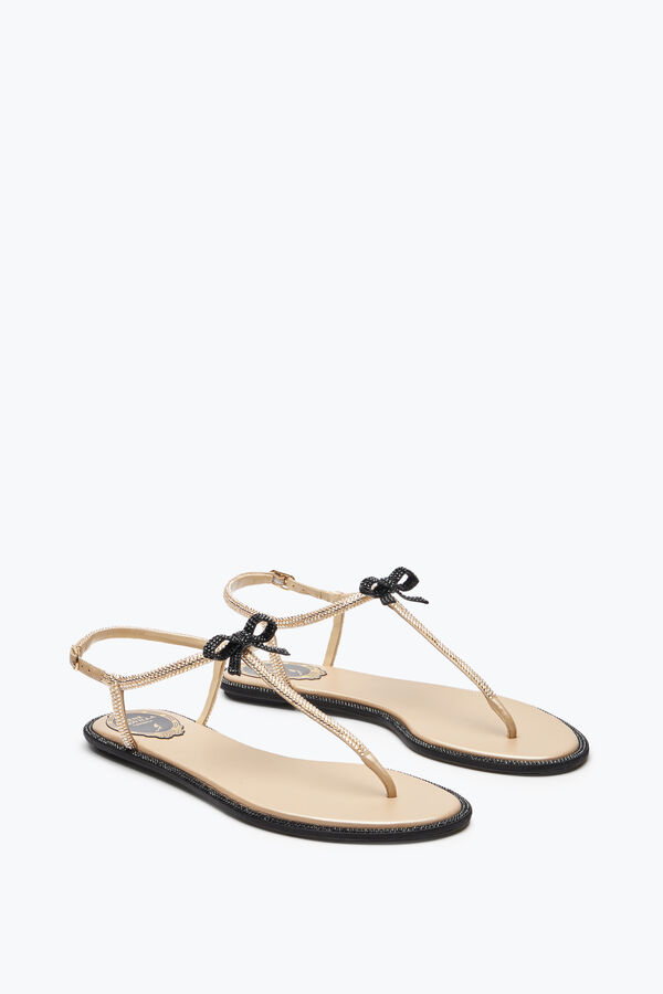 jeweled caterina honung thong sandal 10 rene caovilla