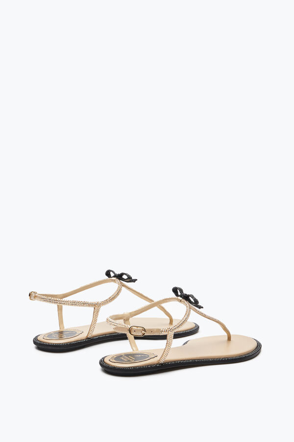 jeweled caterina honung thong sandal 10 rene caovilla