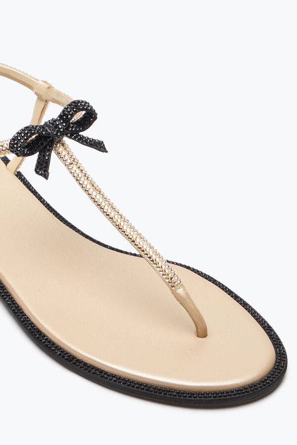 jeweled caterina honung thong sandal 10 rene caovilla
