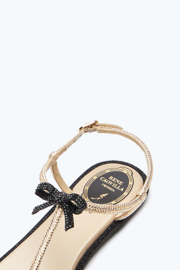 jeweled caterina honung thong sandal 10 rene caovilla