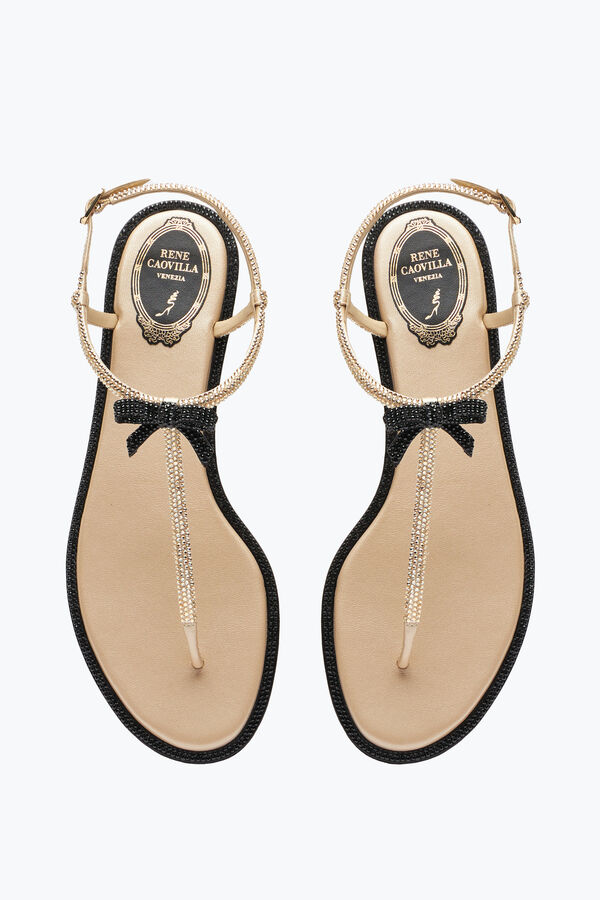 jeweled caterina honung thong sandal 10 rene caovilla