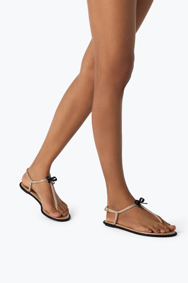 jeweled caterina honung thong sandal 10 rene caovilla