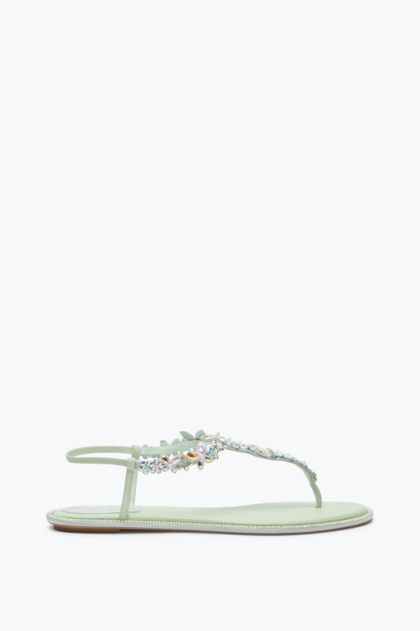 jeweled eden grÖn mynta thong sandal 10 rene caovilla