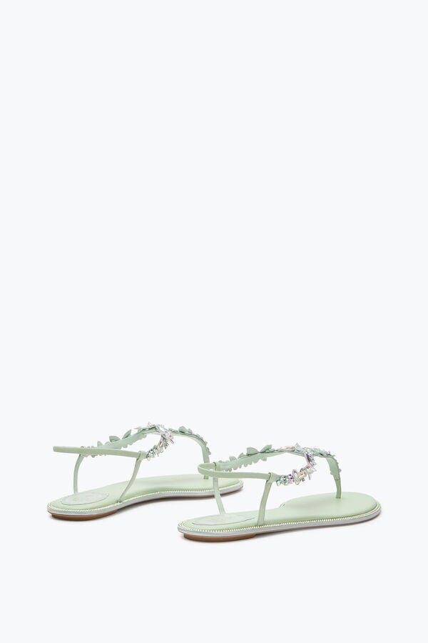 jeweled eden grÖn mynta thong sandal 10 rene caovilla