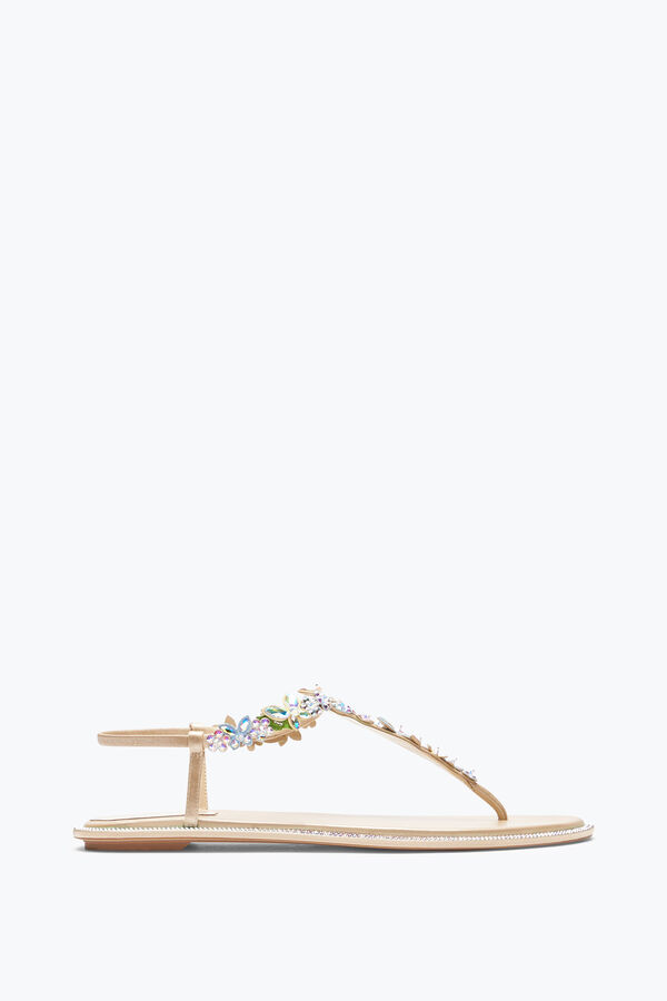 jeweled eden naken thong sandal 10 rene caovilla