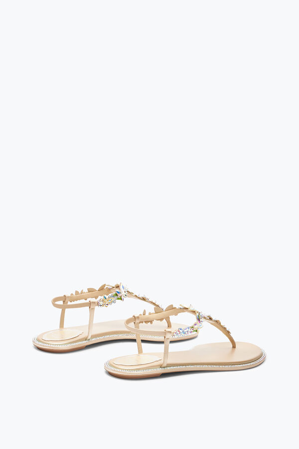 jeweled eden naken thong sandal 10 rene caovilla