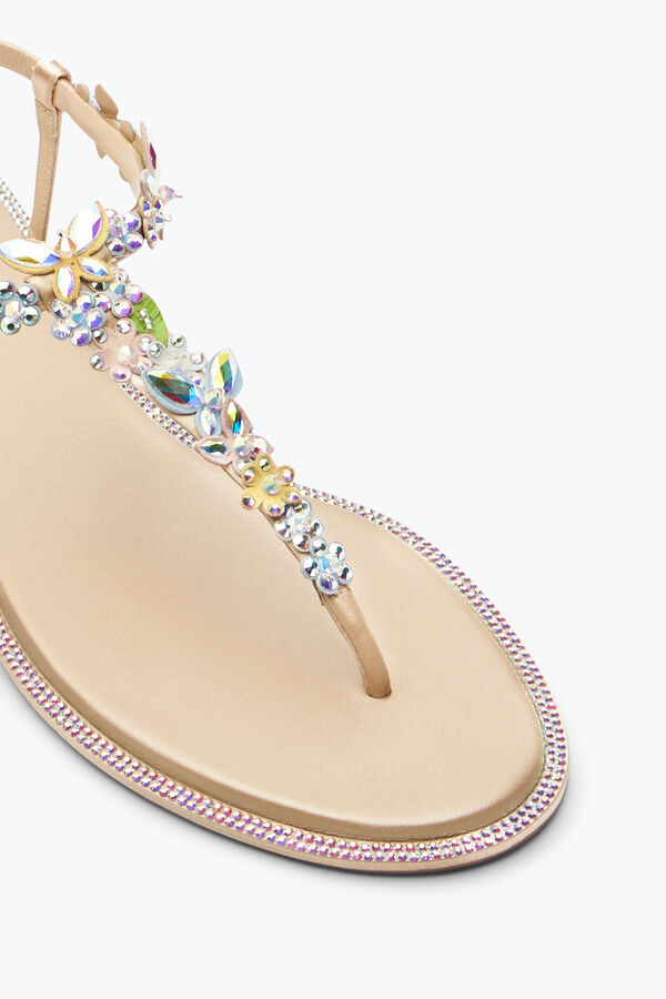 jeweled eden naken thong sandal 10 rene caovilla
