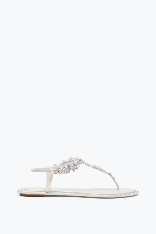 jeweled eden elfenben thong sandal 10 rene caovilla