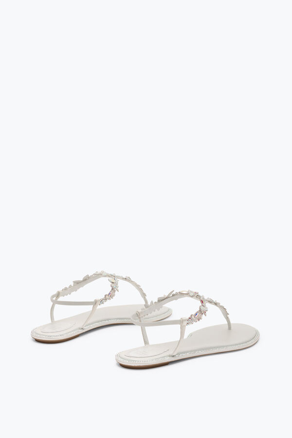 jeweled eden elfenben thong sandal 10 rene caovilla