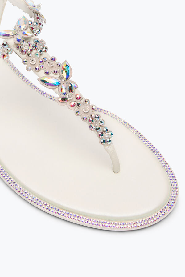 jeweled eden elfenben thong sandal 10 rene caovilla