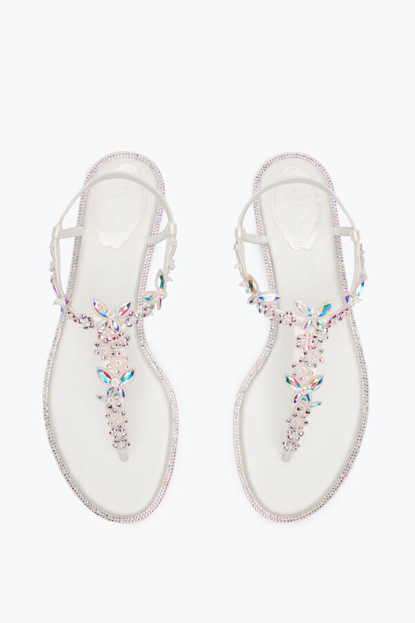 jeweled eden elfenben thong sandal 10 rene caovilla