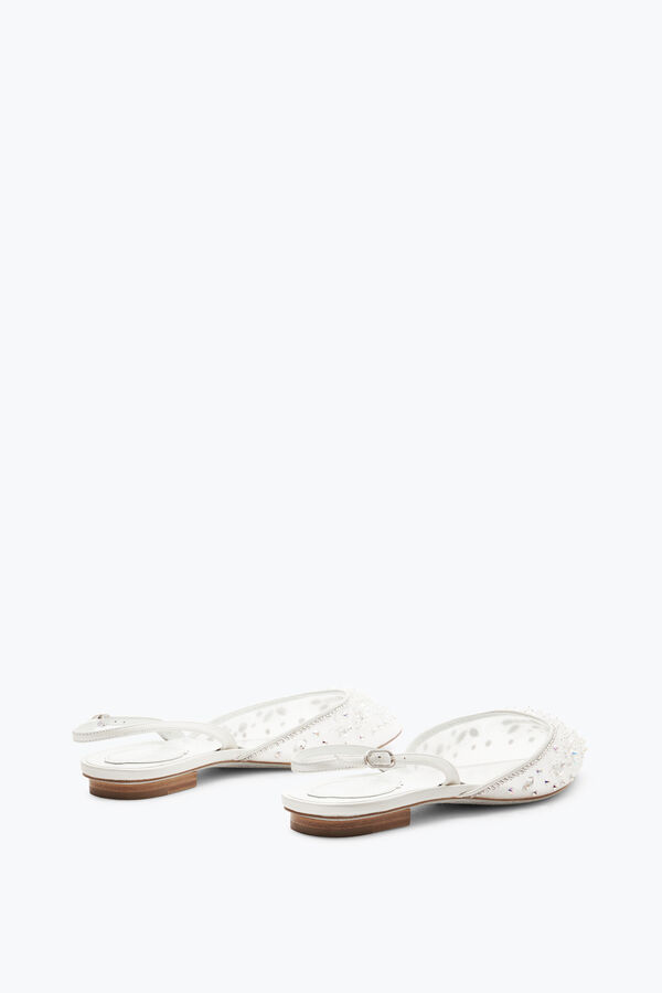 jeweled cinderella vit slingback 10 rene caovilla