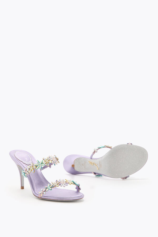 jeweled eva lila mule 80 rene caovilla