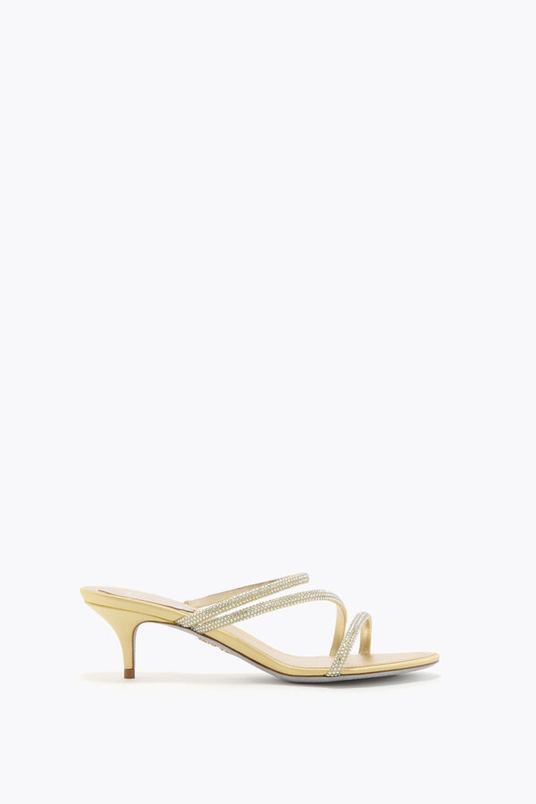 jeweled erin citron gul mule 50 rene caovilla