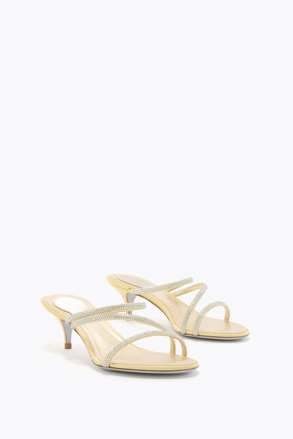 jeweled erin citron gul mule 50 rene caovilla