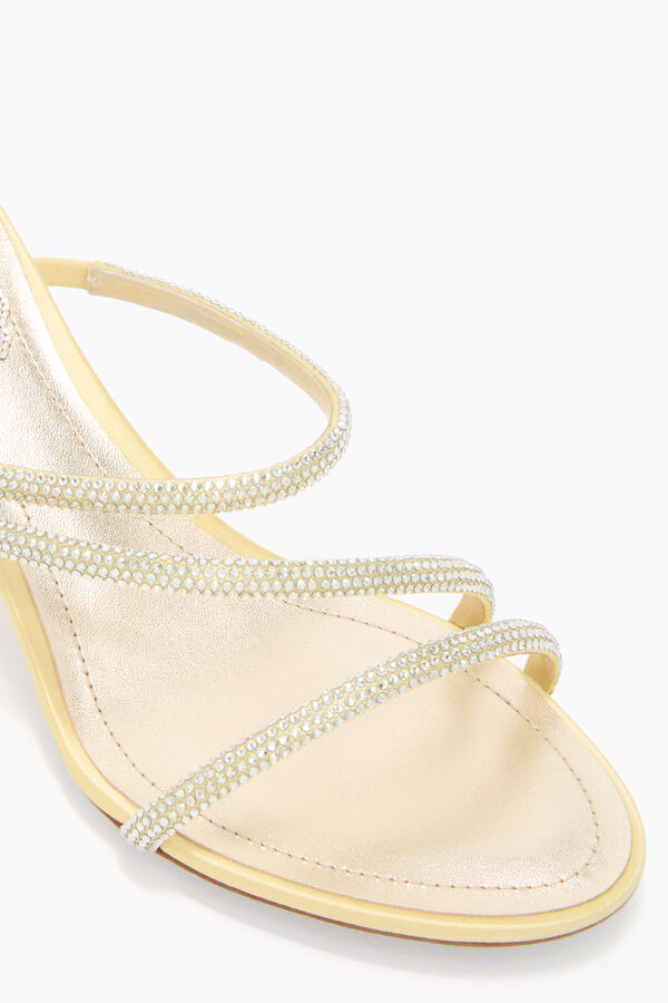 jeweled erin citron gul mule 50 rene caovilla