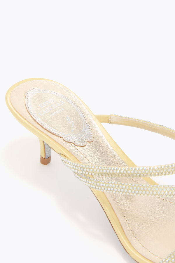 jeweled erin citron gul mule 50 rene caovilla