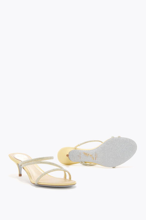 jeweled erin citron gul mule 50 rene caovilla
