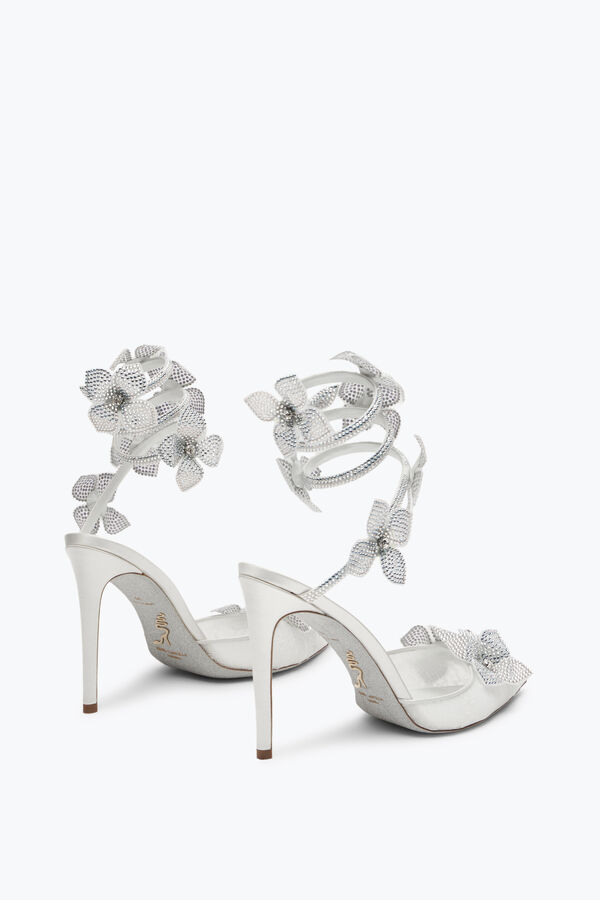 jeweled floriane vita pumpen 105 rene caovilla
