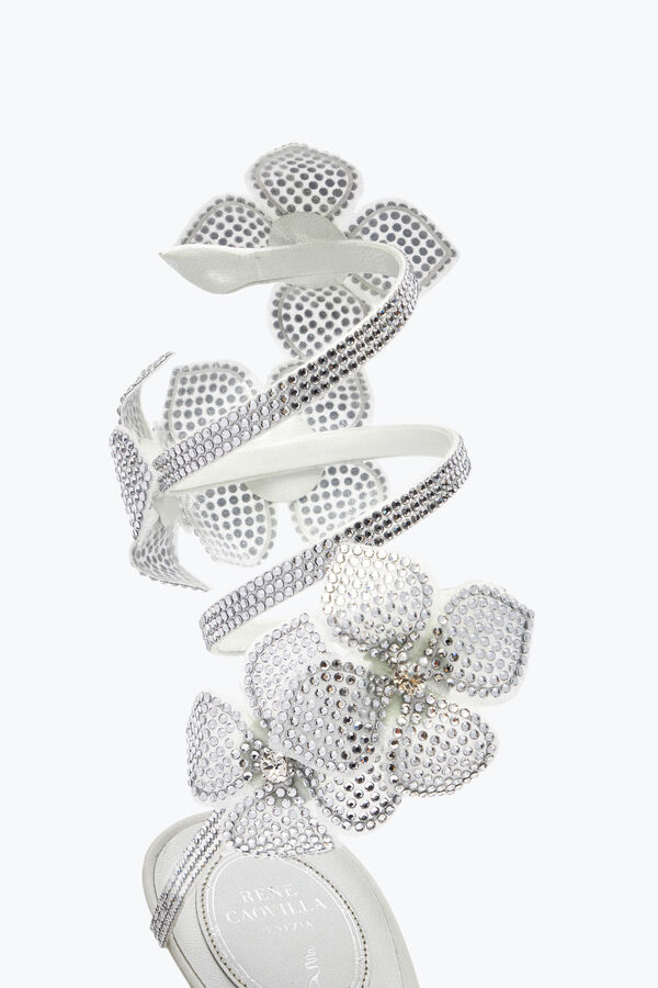 jeweled floriane vita pumpen 105 rene caovilla
