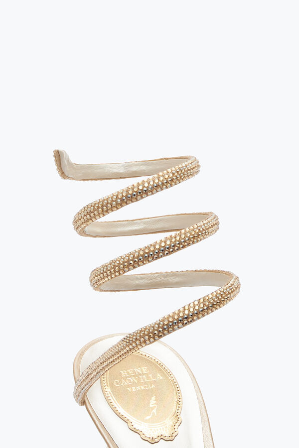 jeweled margot honung sandal 80 rene caovilla
