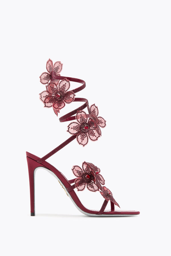 jeweled persika blomma bourgogne sandal 105 rene caovilla