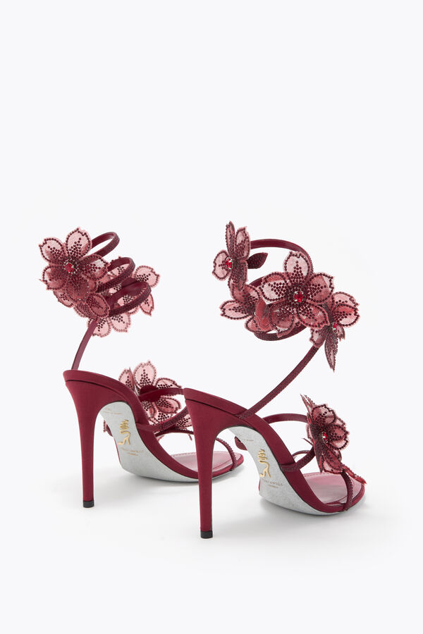 jeweled persika blomma bourgogne sandal 105 rene caovilla
