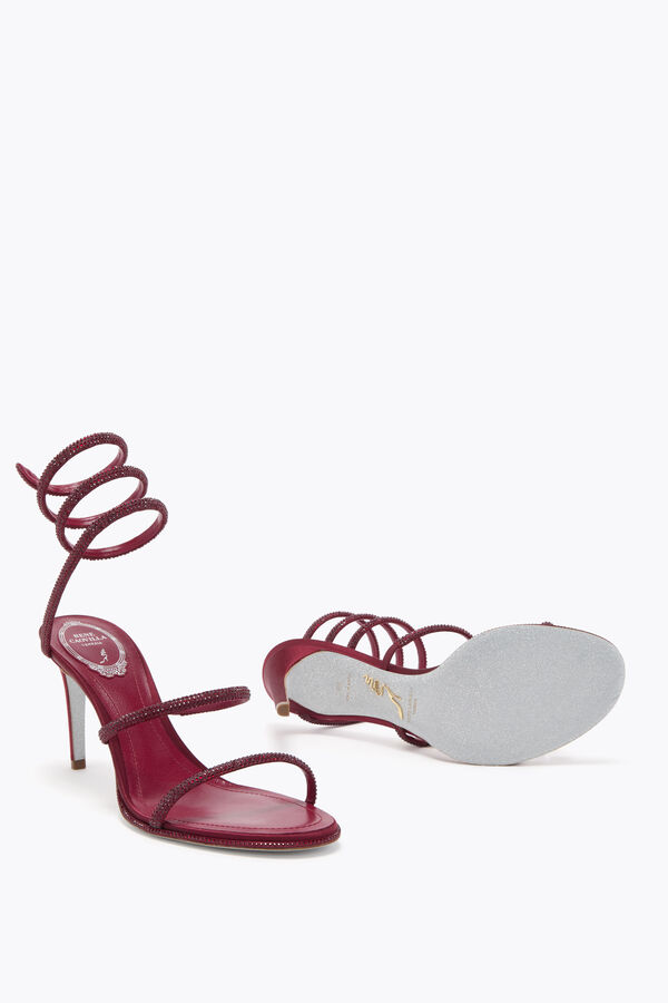 jeweled cleo bourgogne sandal 80 rene caovilla