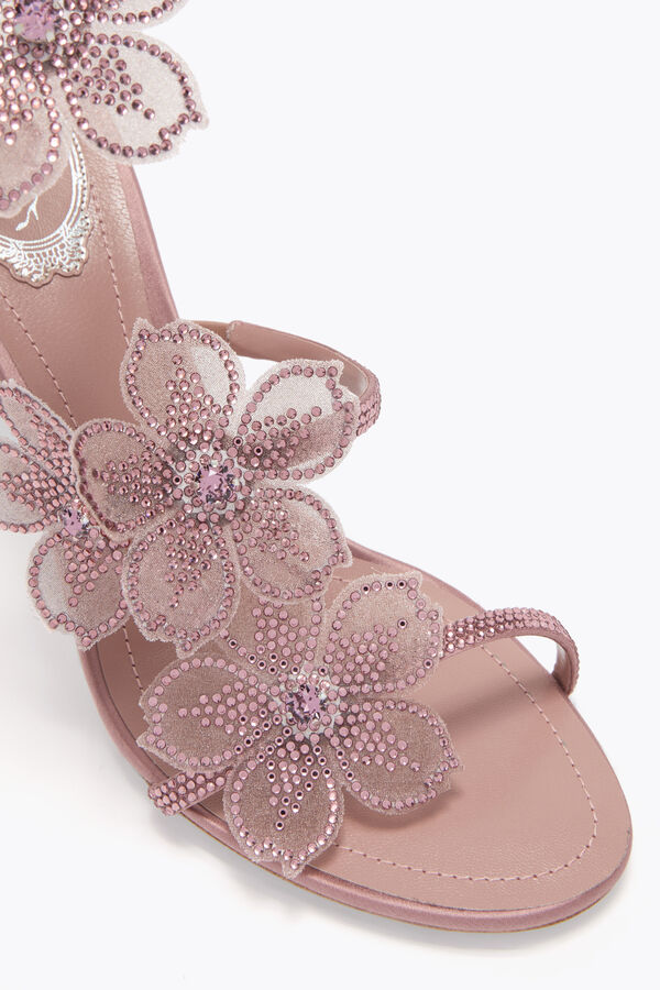 jeweled persika blomma blush pink sandal 80 rene caovilla