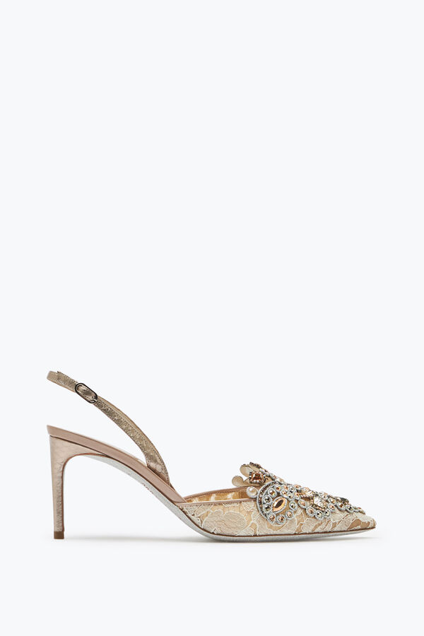 jeweled veneziana lace slingbacks 75 rene caovilla